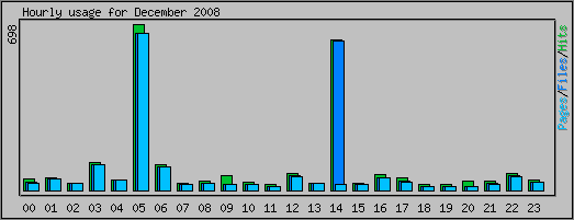 Hourly usage