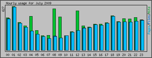 Hourly usage