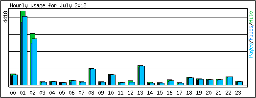 Hourly usage