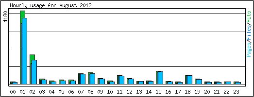 Hourly usage