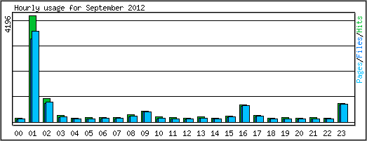Hourly usage