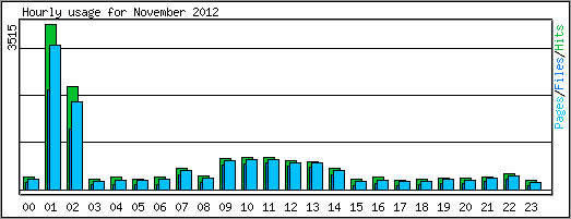 Hourly usage