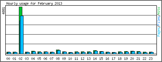 Hourly usage