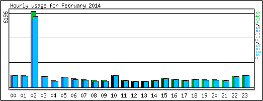 Hourly usage