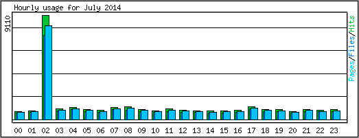 Hourly usage