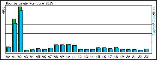 Hourly usage