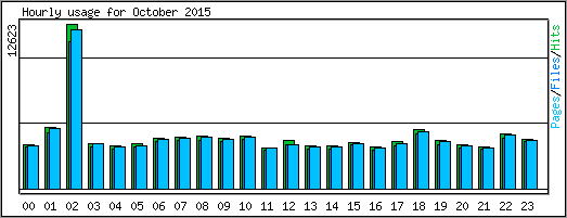 Hourly usage