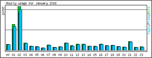 Hourly usage