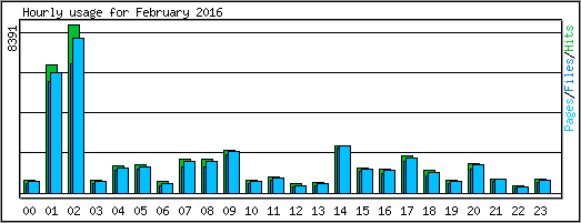 Hourly usage