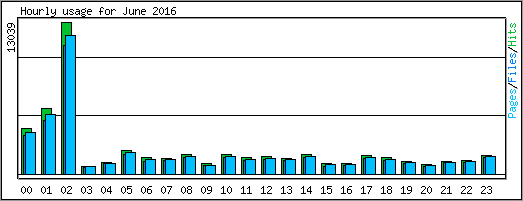 Hourly usage