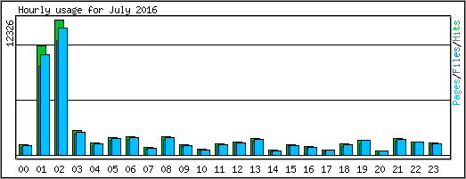 Hourly usage