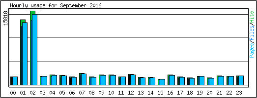 Hourly usage