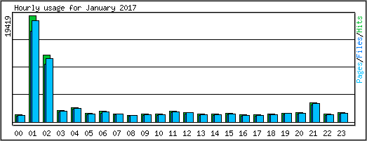 Hourly usage