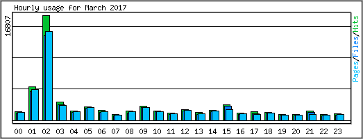 Hourly usage