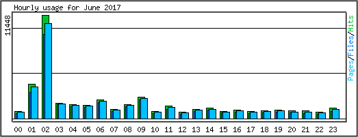 Hourly usage
