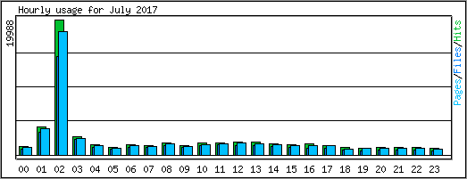 Hourly usage