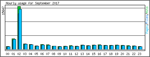 Hourly usage