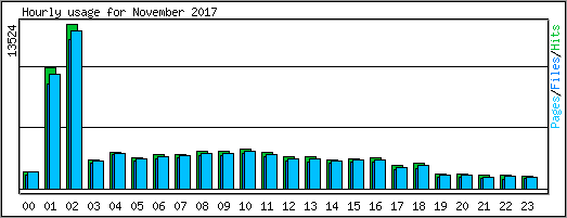 Hourly usage
