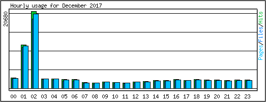 Hourly usage
