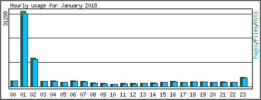 Hourly usage